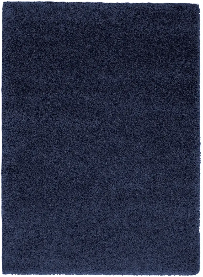 Blue Shag Area Rug Photo 2