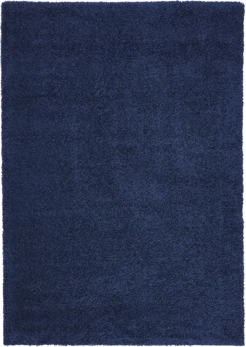 Blue Shag Area Rug Photo 5