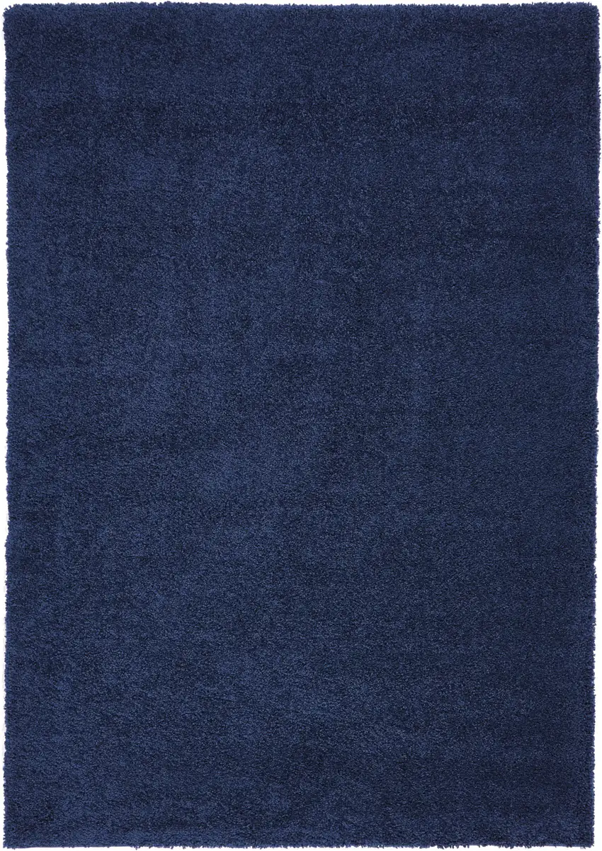 Blue Shag Area Rug Photo 2