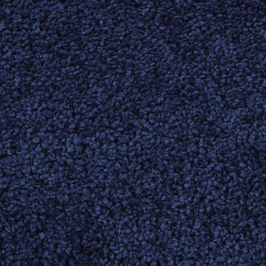 Blue Shag Area Rug Photo 3
