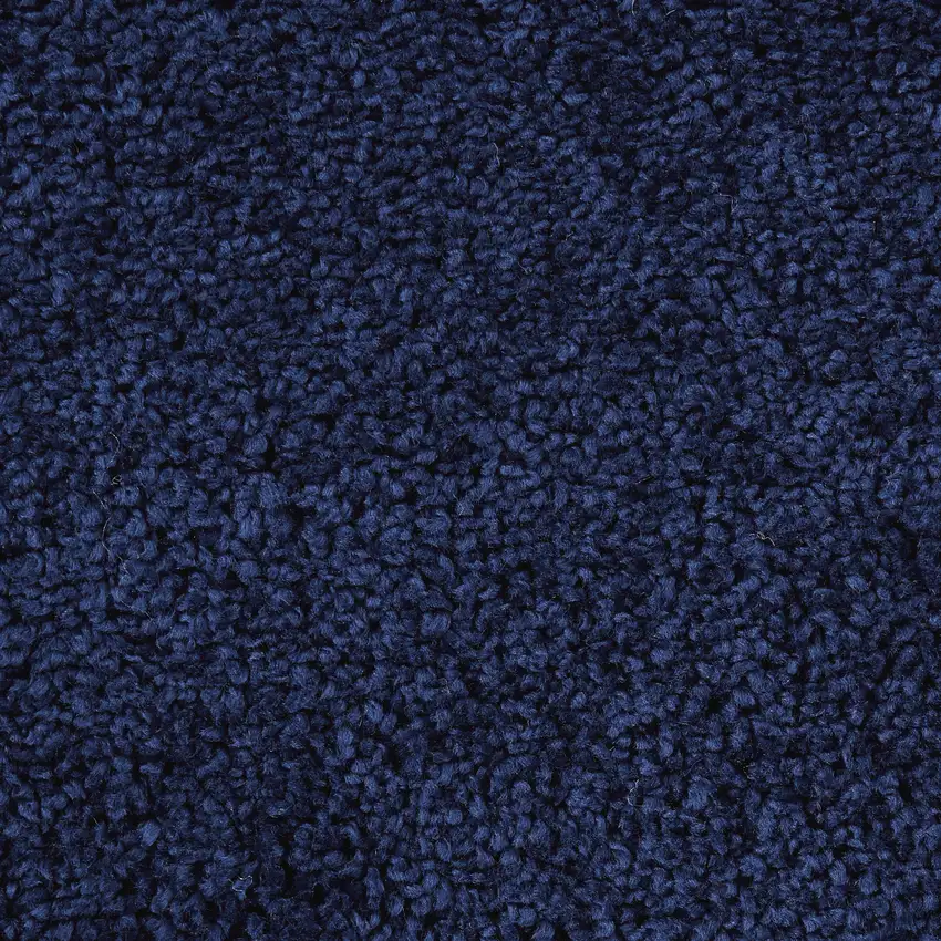 Blue Shag Area Rug Photo 9