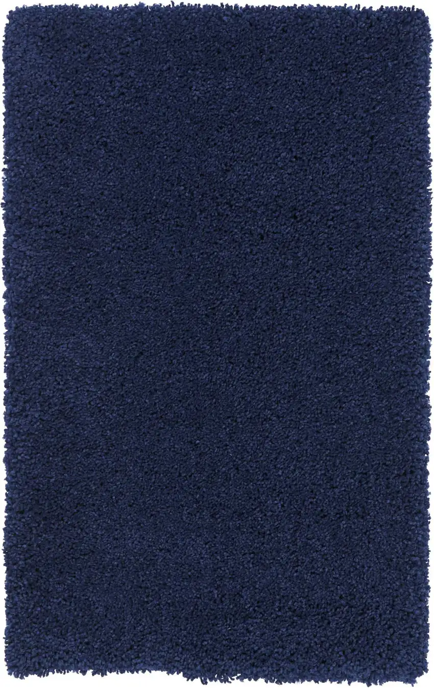 Blue Shag Distressed Area Rug Photo 2