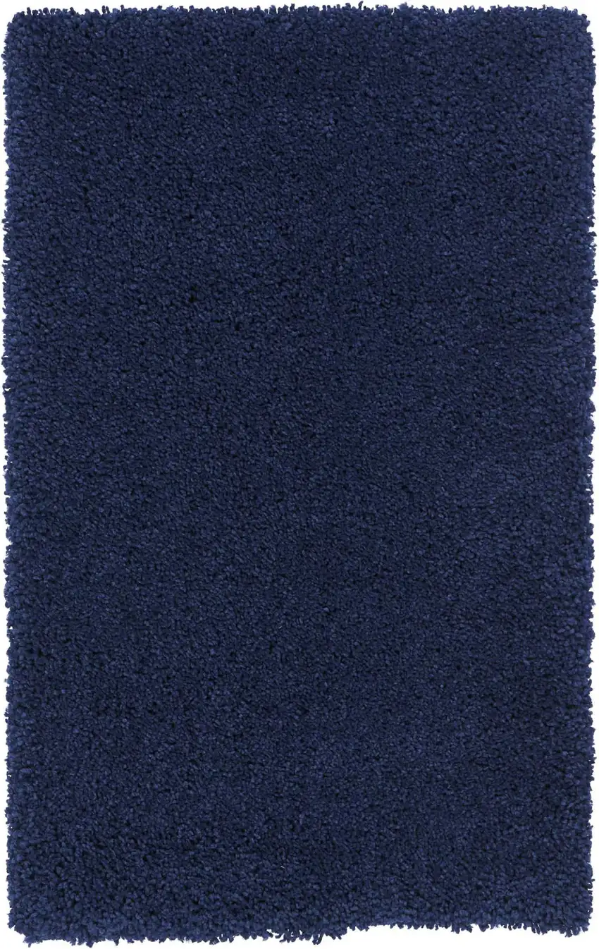 Blue Shag Distressed Area Rug Photo 5