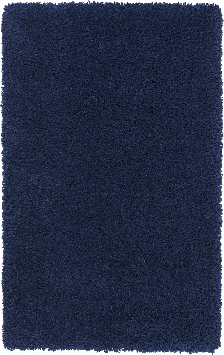 Blue Shag Distressed Area Rug Photo 2