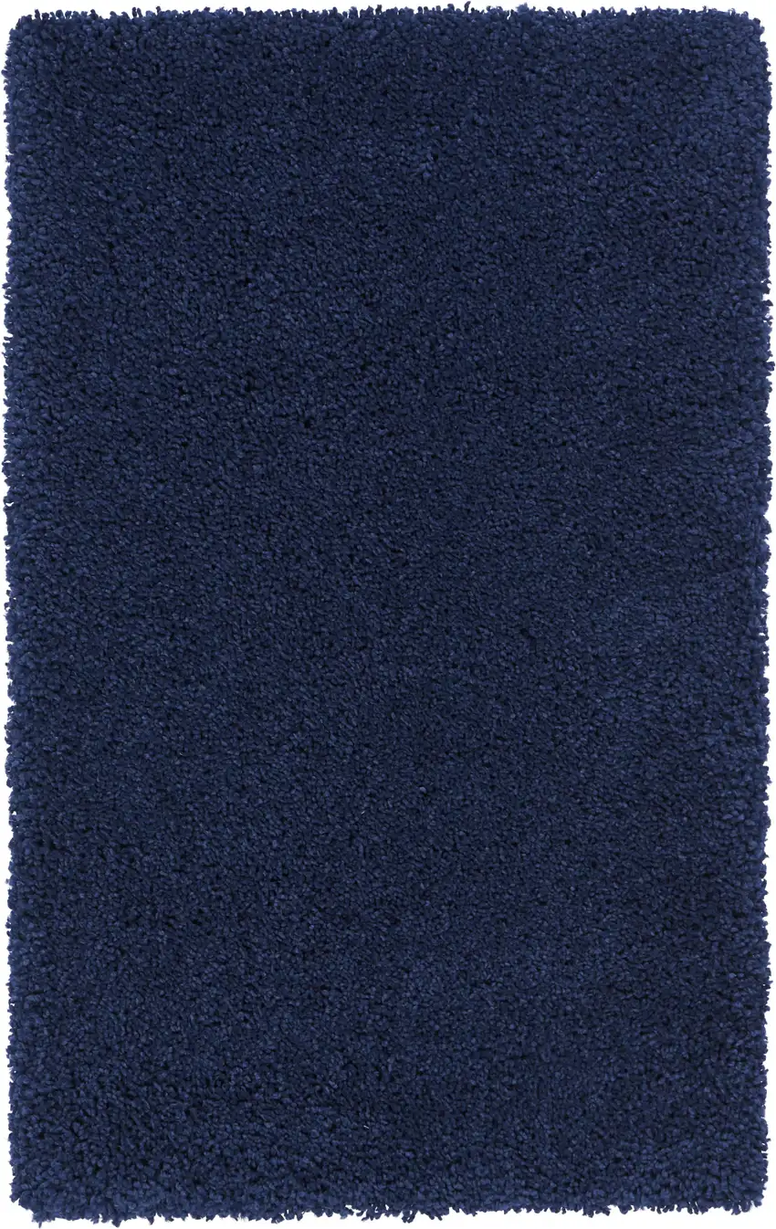 Blue Shag Distressed Area Rug Photo 5