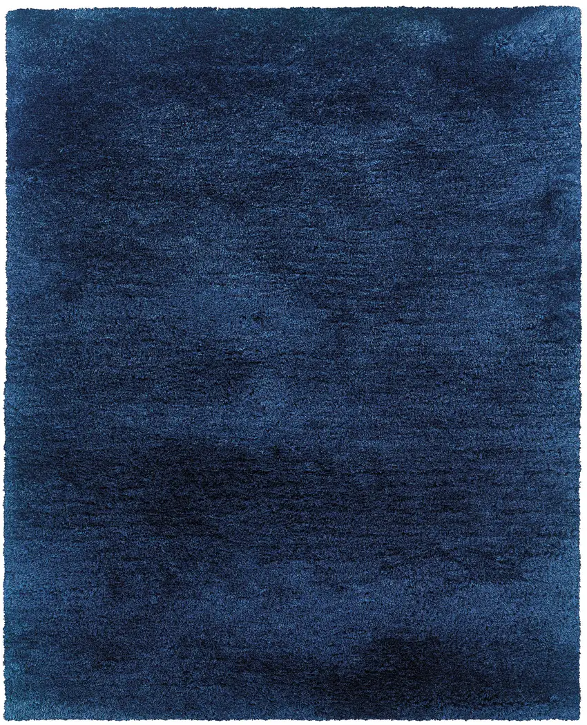 Blue Shag Hand Tufted Area Rug Photo 2