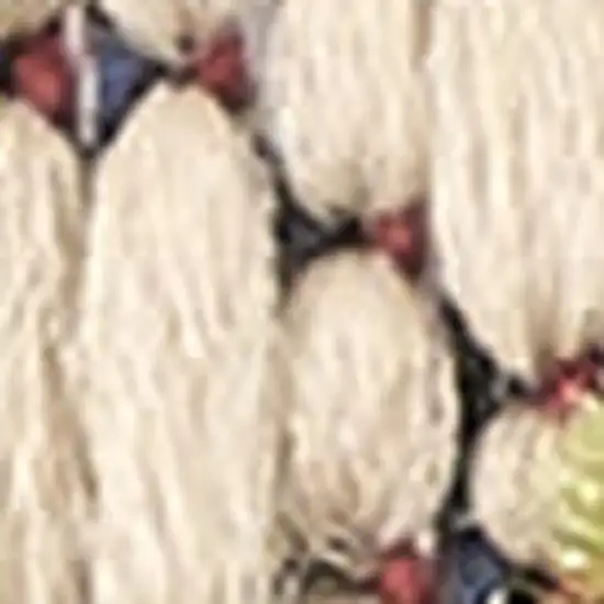 Ivory And Blue Indoor Outdoor Area Rug Photo 3