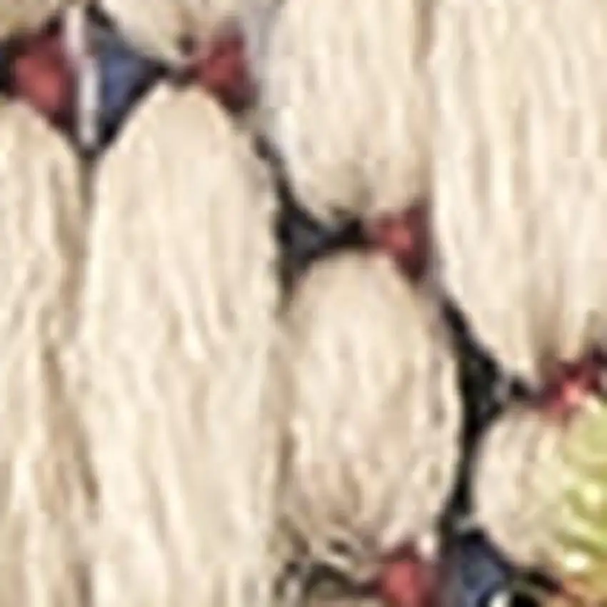 Ivory And Blue Indoor Outdoor Area Rug Photo 3