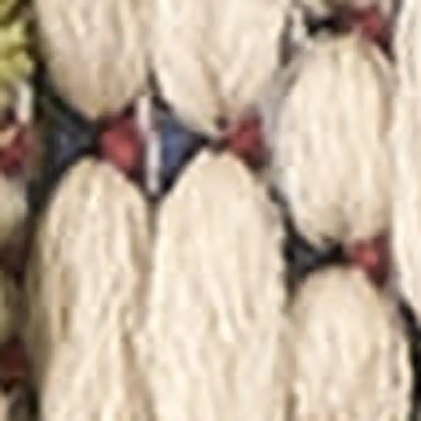 Ivory And Blue Indoor Outdoor Area Rug Photo 1