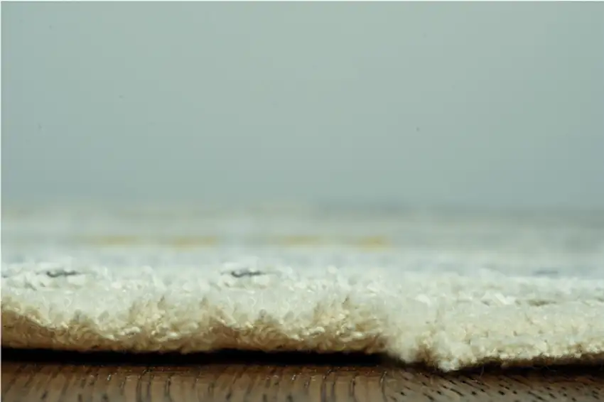 Blue White Distressed Traditional Area Rug Photo 3