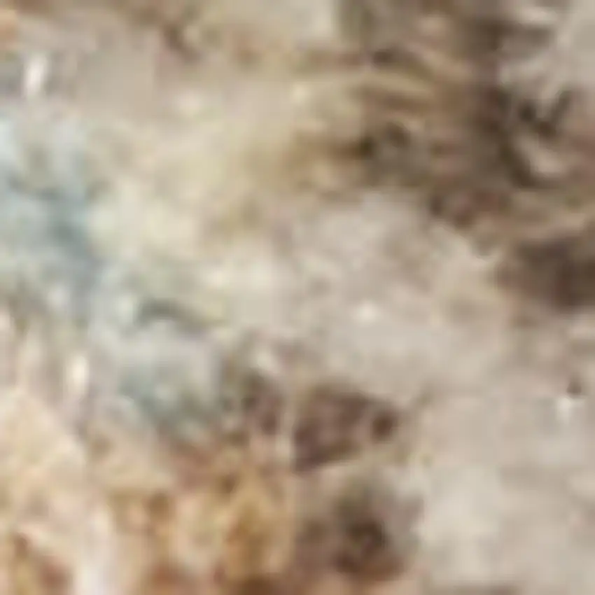 Blue Yellow And Cream Floral Medallion Distressed Washable Area Rug Photo 3