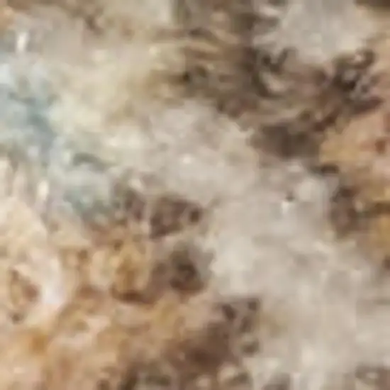 Blue Yellow And Cream Floral Medallion Distressed Washable Area Rug Photo 4