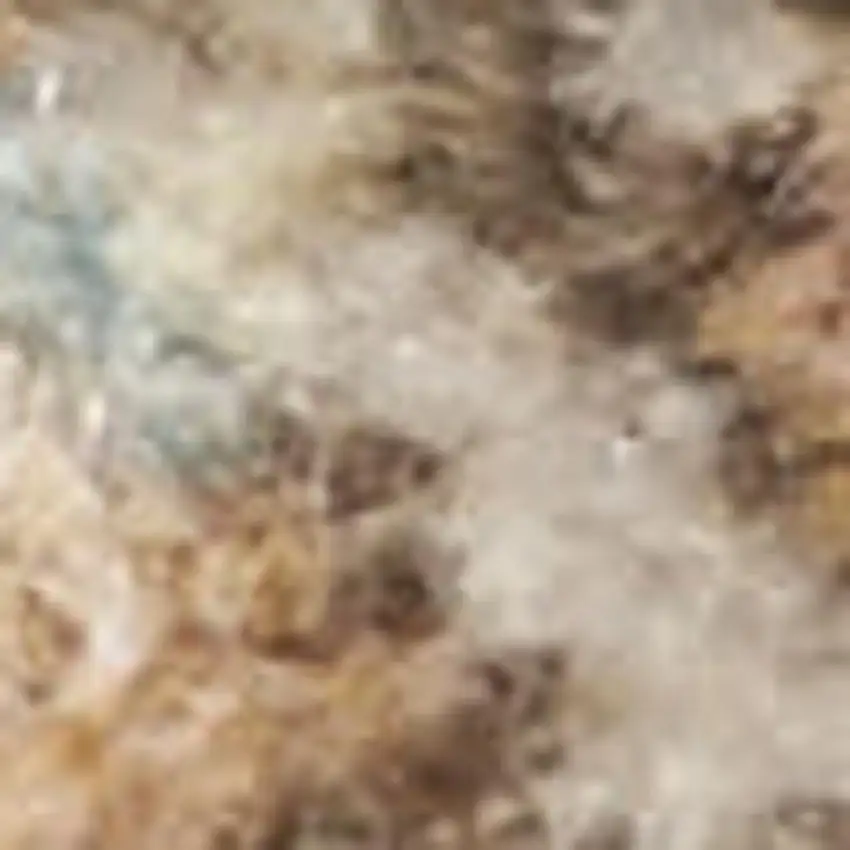 Blue Yellow And Cream Floral Medallion Distressed Washable Area Rug Photo 4