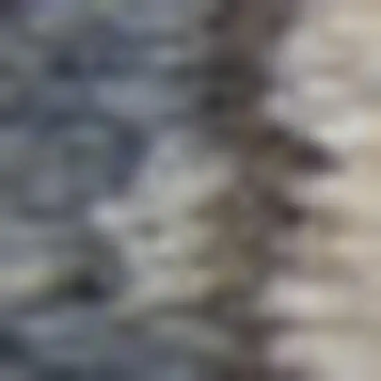 Blue and Beige Oriental Power Loom Non Skid Area Rug Photo 1