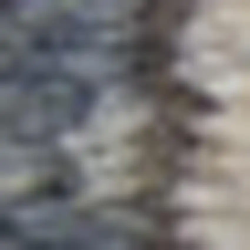 Blue and Beige Oriental Power Loom Non Skid Area Rug Photo 1