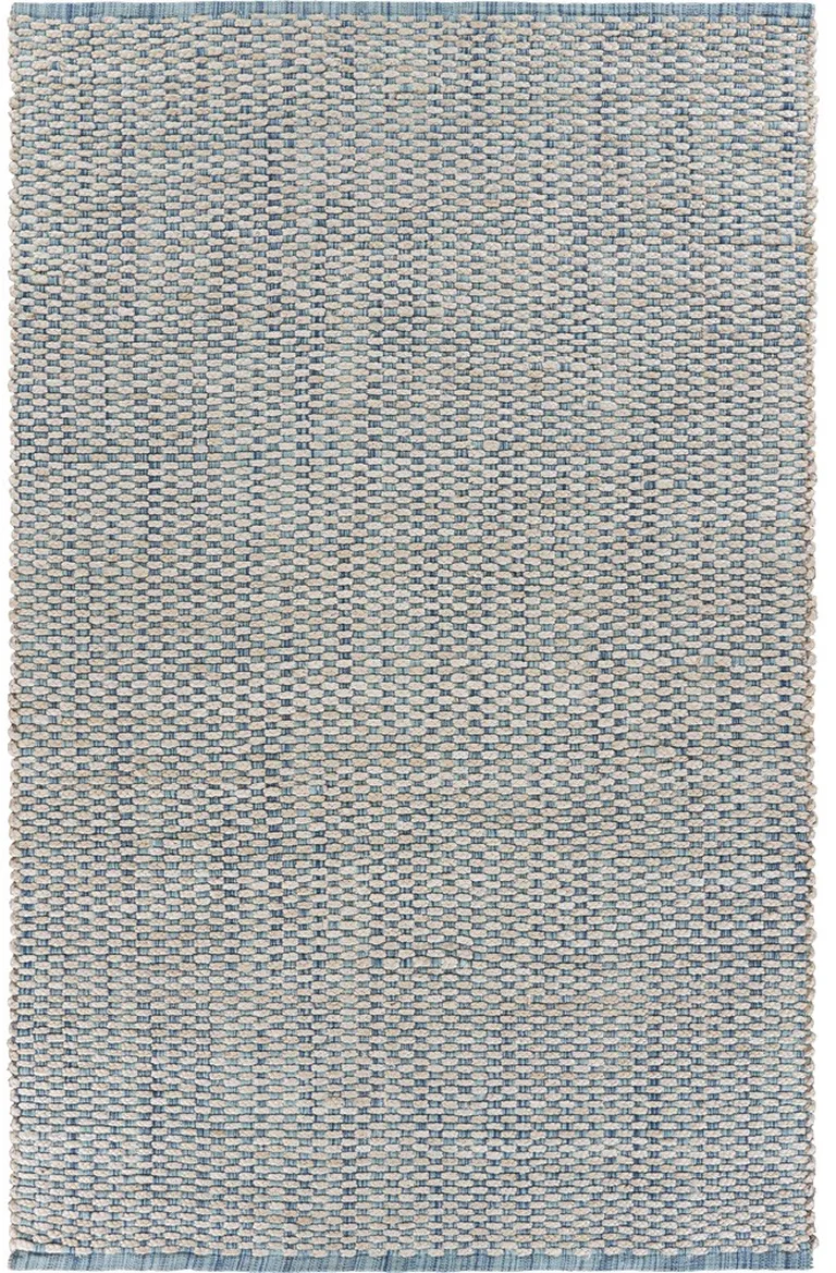 Blue and Beige Toned Area Rug Photo 1