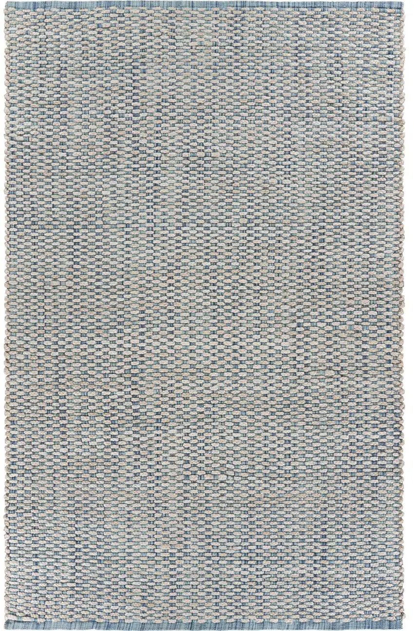 Blue and Beige Toned Area Rug Photo 1
