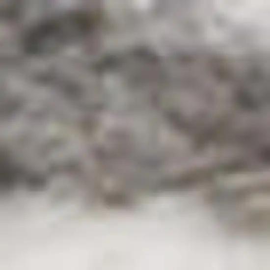 Blue and Gray Medallion Power Loom Area Rug Photo 3