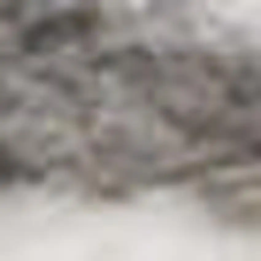 Blue and Gray Medallion Power Loom Area Rug Photo 3