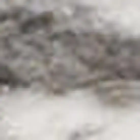 Blue and Gray Medallion Power Loom Area Rug Photo 4