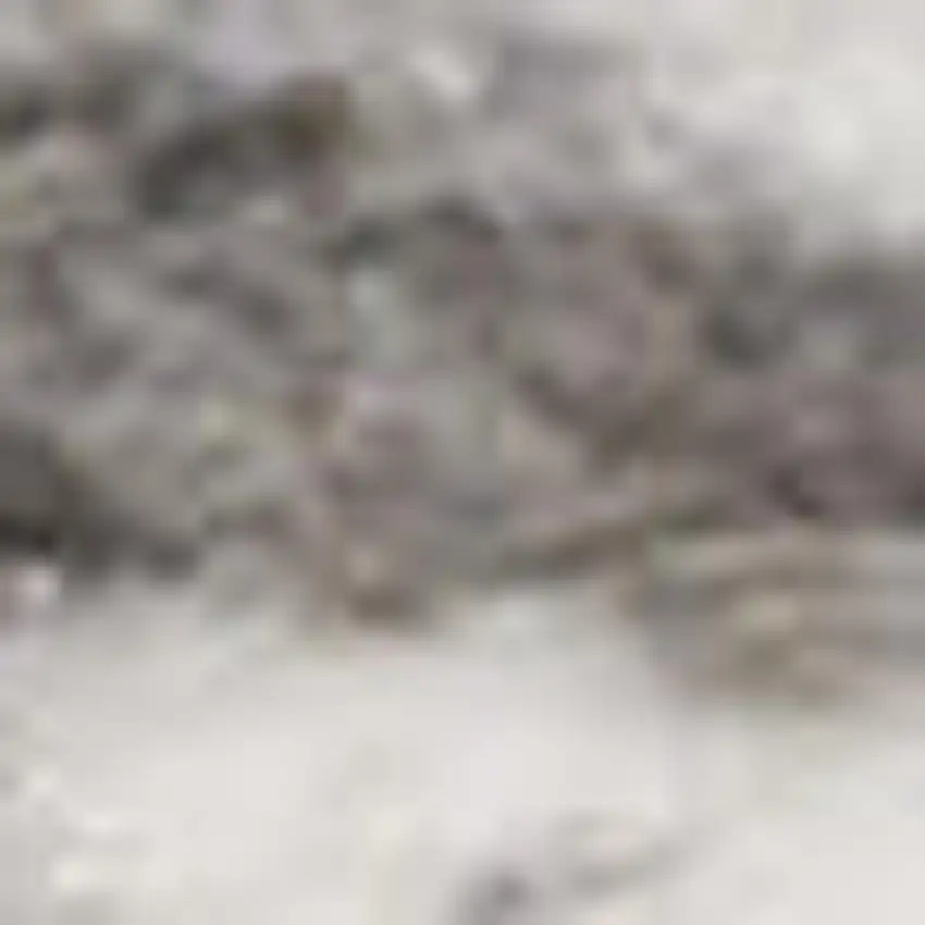 Blue and Gray Medallion Power Loom Area Rug Photo 4