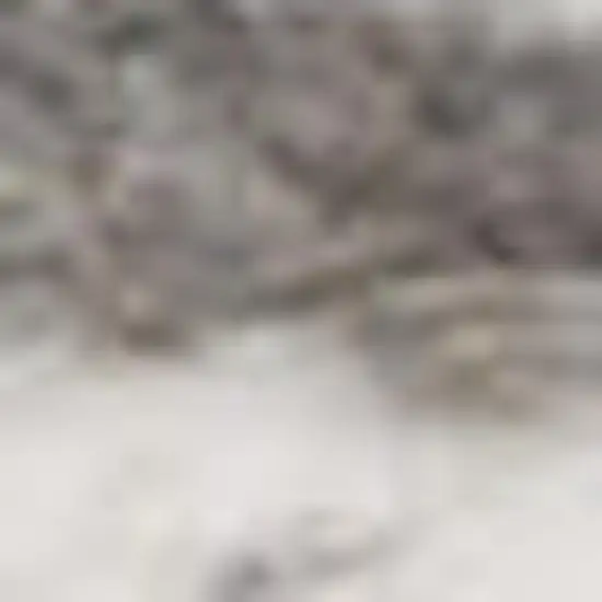 Blue and Gray Medallion Power Loom Area Rug Photo 3