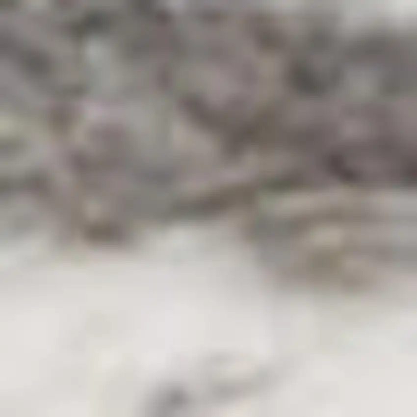 Blue and Gray Medallion Power Loom Area Rug Photo 3