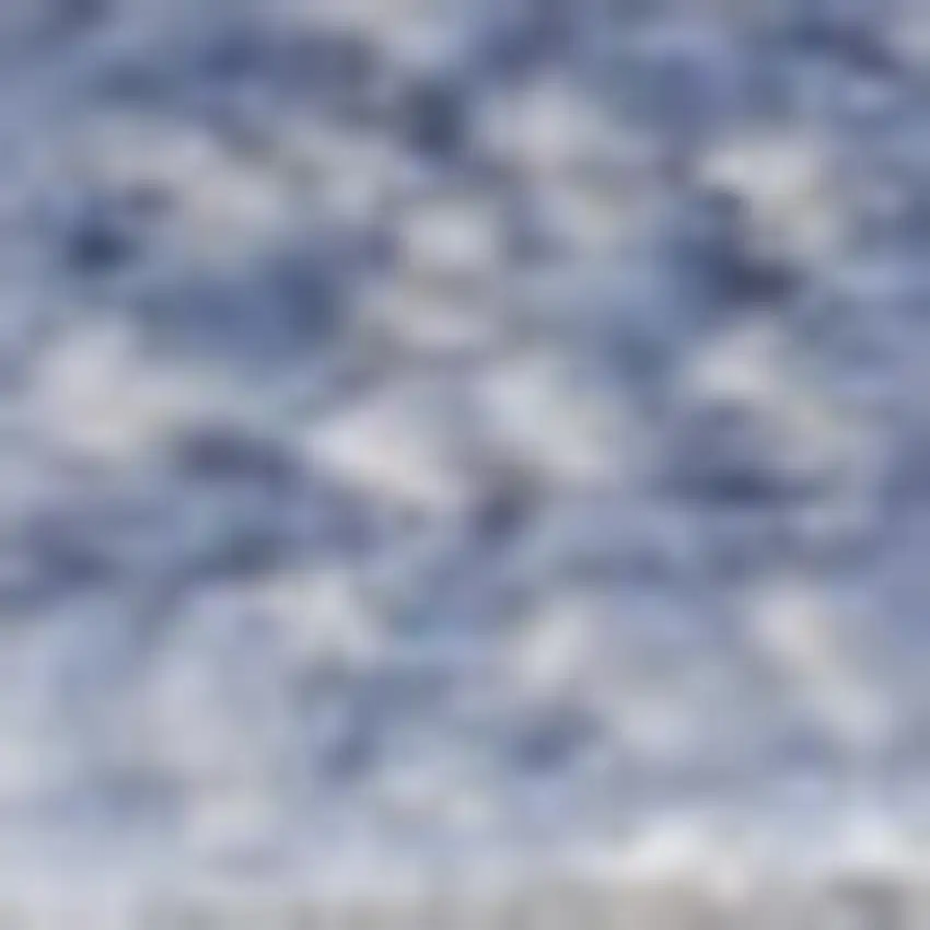 Blue and Gray Oriental Power Loom Area Rug Photo 1