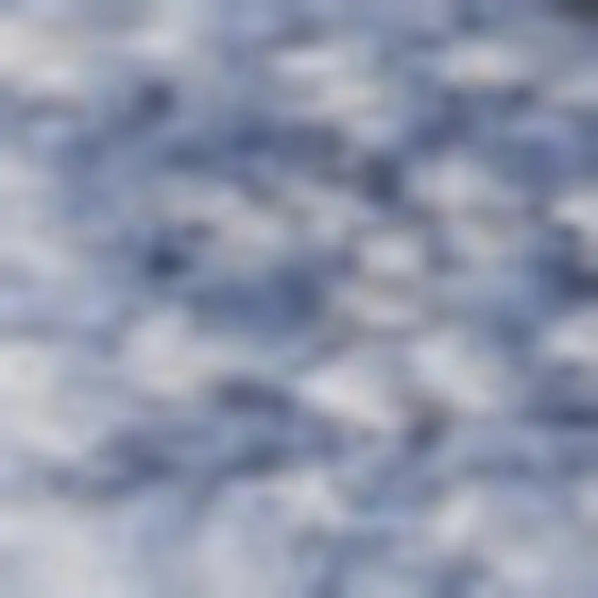 Blue and Gray Oriental Power Loom Area Rug Photo 1