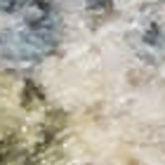 Blue and Ivory Floral Medallion Power Loom Distressed Washable Area Rug Photo 4