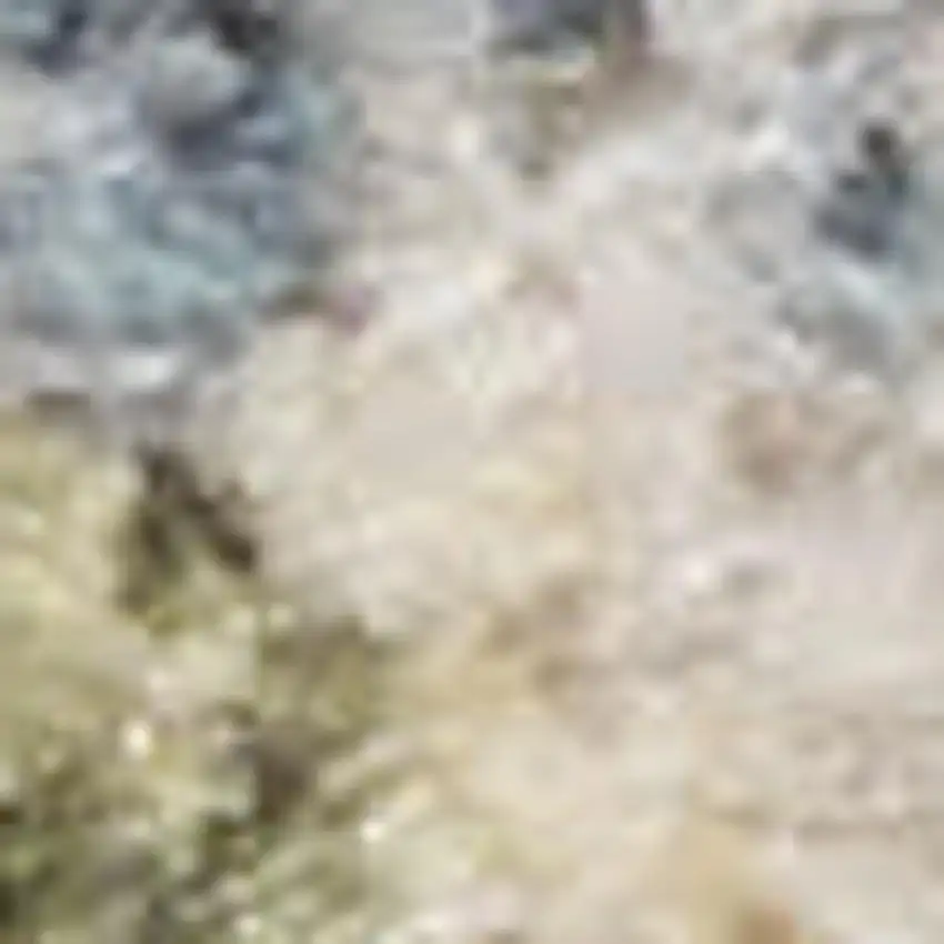 Blue and Ivory Floral Medallion Power Loom Distressed Washable Area Rug Photo 4