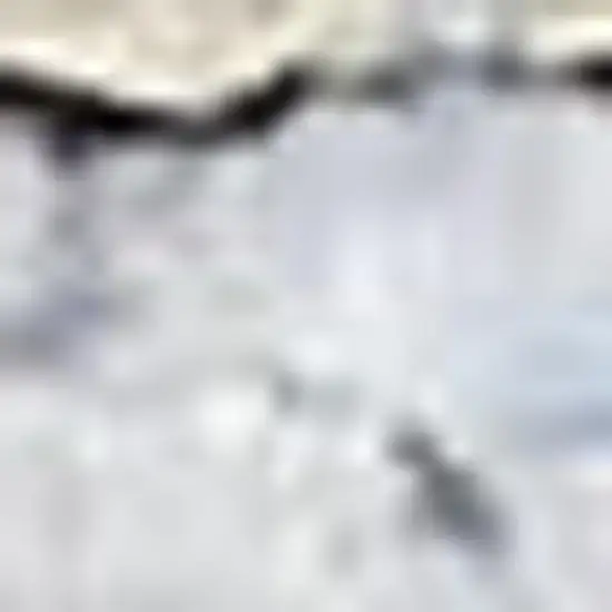 Blue and Ivory Floral Power Loom Distressed Washable Area Rug Photo 5