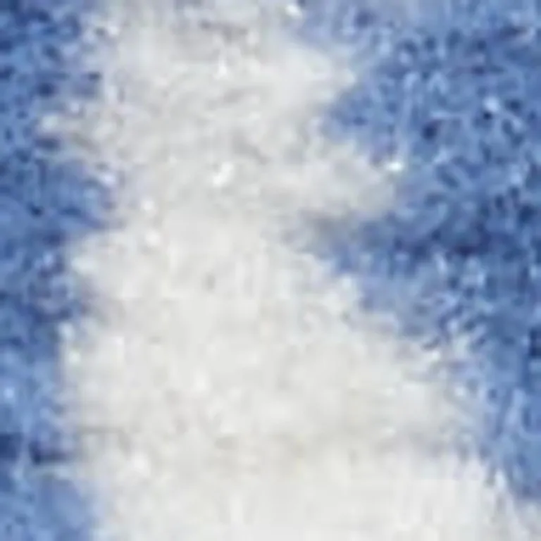 Blue and Ivory Floral Vines Area Rug Photo 1