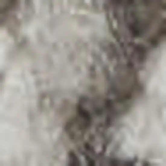 Blue and Ivory Medallion Power Loom Distressed Area Rug Photo 1