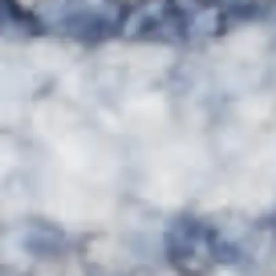 Blue and Ivory Oriental Power Loom Distressed Area Rug With Fringe Photo 3