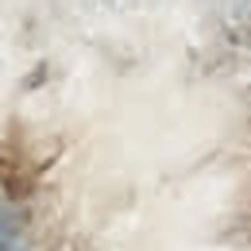 Blue and Orange Floral Medallion Power Loom Distressed Washable Area Rug Photo 2