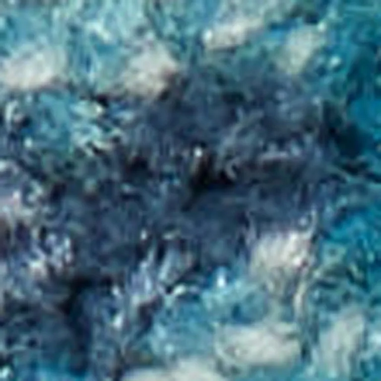 Blue and Pink Medallion Area Rug Photo 3