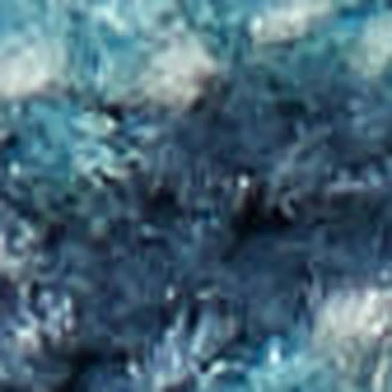 Blue and Pink Medallion Area Rug Photo 1