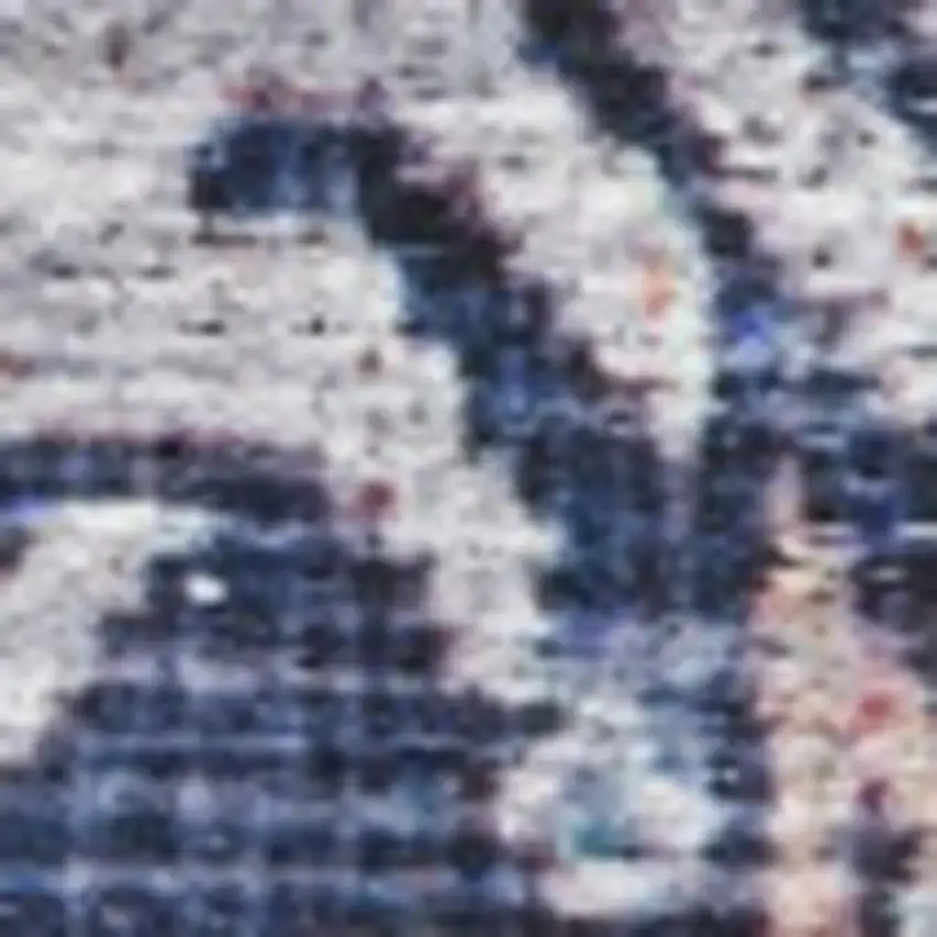 Blue and Red Oriental Power Loom Distressed Washable Non Skid Area Rug Photo 1