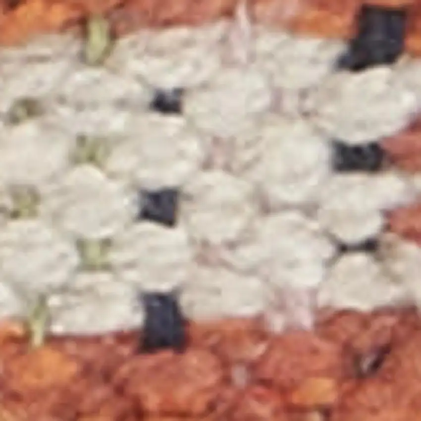 Blue and Red Southwestern Handmade Area Rug With Fringe Photo 5