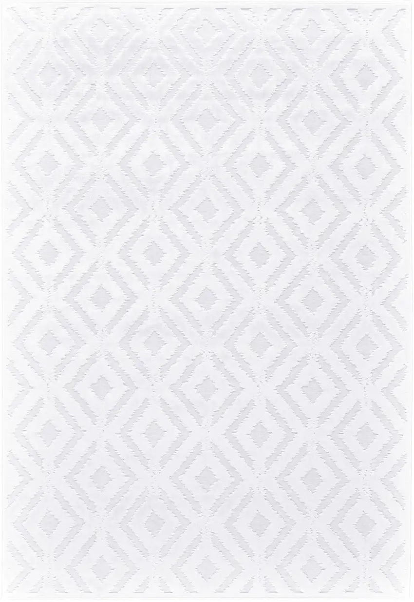 Blue and White Power Loom Area Rug Photo 2