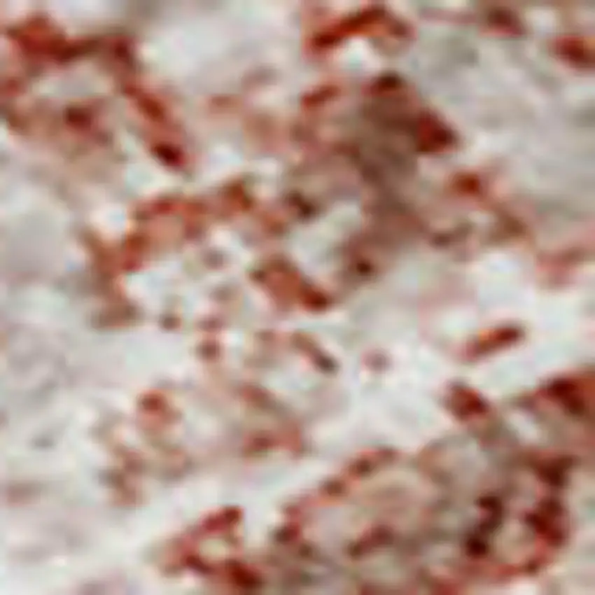 Blush And Ivory Abstract Washable Area Rug With UV Protection Photo 6