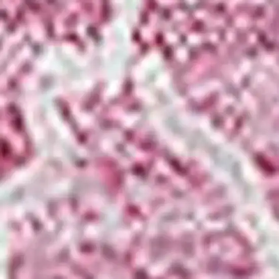 Blush And Ivory Floral Washable Area Rug With UV Protection Photo 4