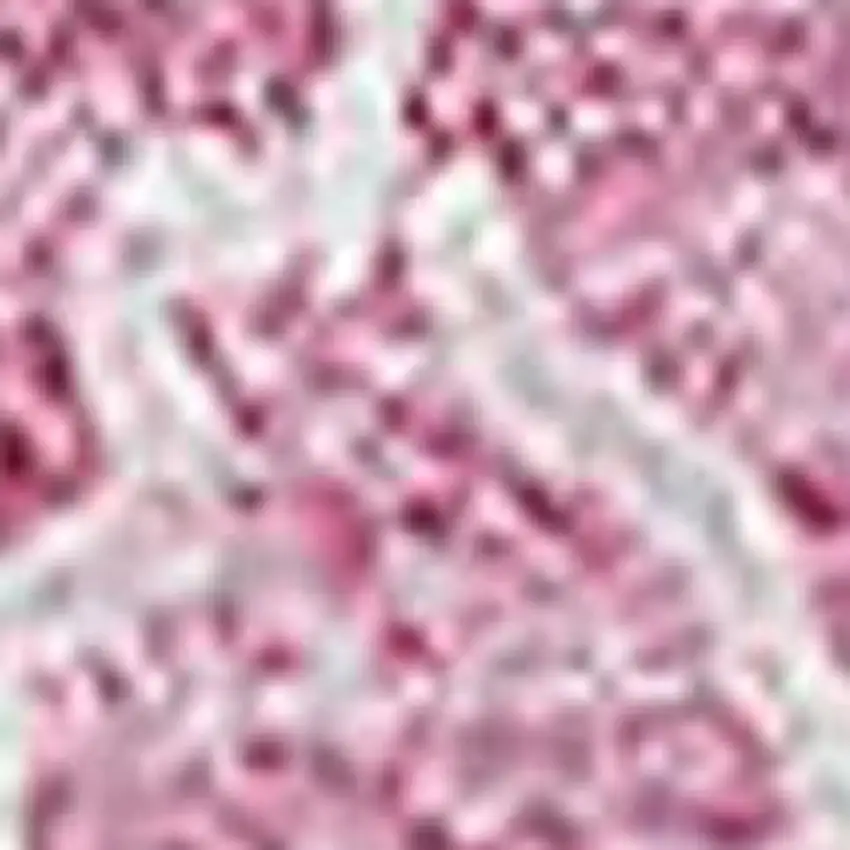 Blush And Ivory Floral Washable Area Rug With UV Protection Photo 4