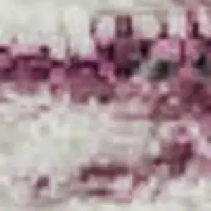 Photo of Blush And Ivory Striped Washable Area Rug With UV Protection