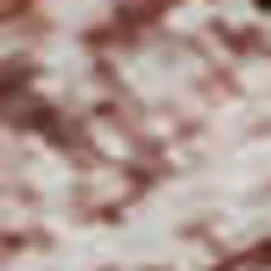 Blush And Pink Oriental Washable Area Rug With UV Protection Photo 1