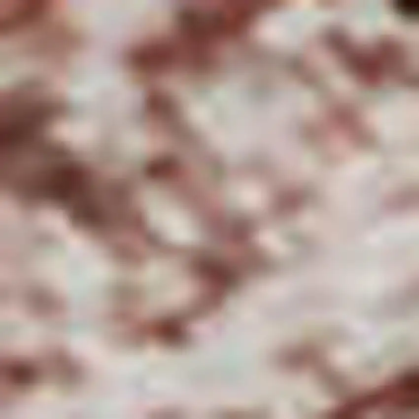 Blush And Pink Oriental Washable Area Rug With UV Protection Photo 1