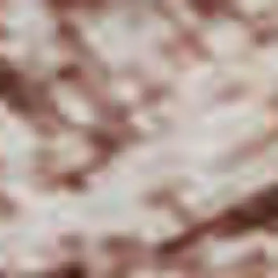 Blush And Pink Oriental Washable Area Rug With UV Protection Photo 1