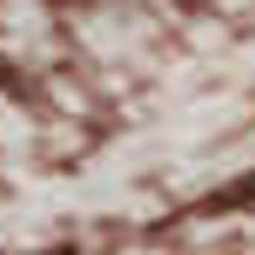 Blush And Pink Oriental Washable Area Rug With UV Protection Photo 1