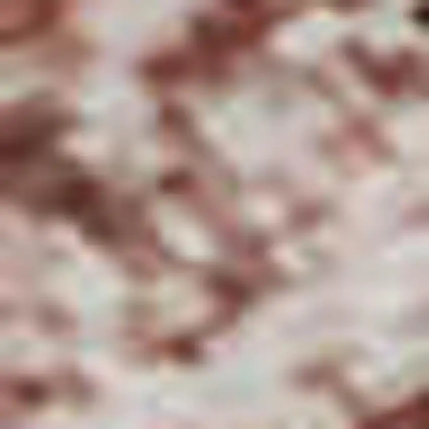 Blush And Pink Oriental Washable Area Rug With UV Protection Photo 1